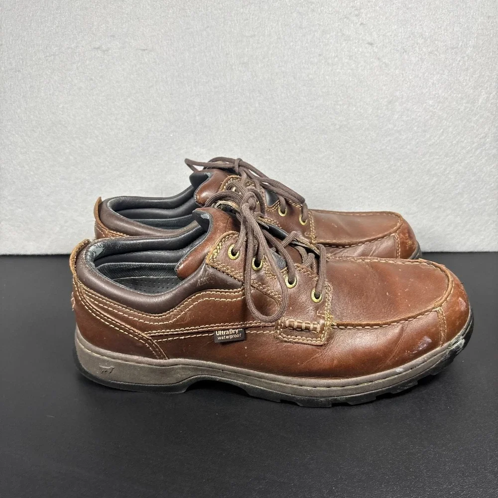 Irish Setter overall still